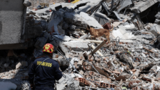 Número de mortos na Colômbia sobe para 294