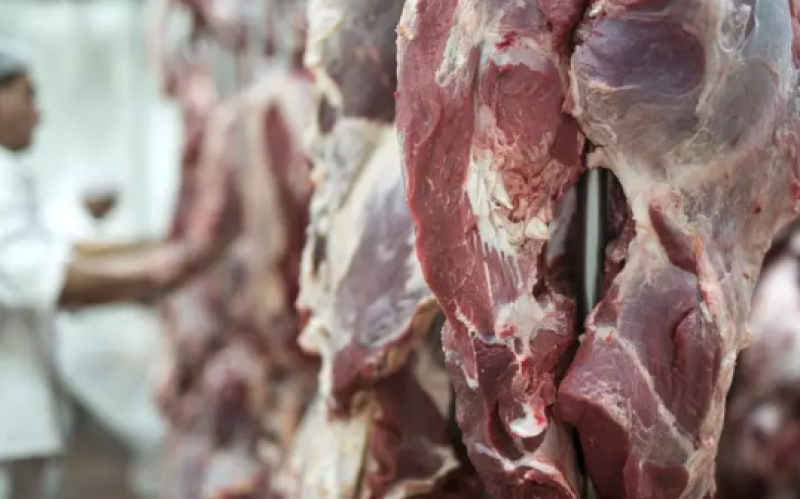 UE suspende importação de carnes e produtos animais do Brasil