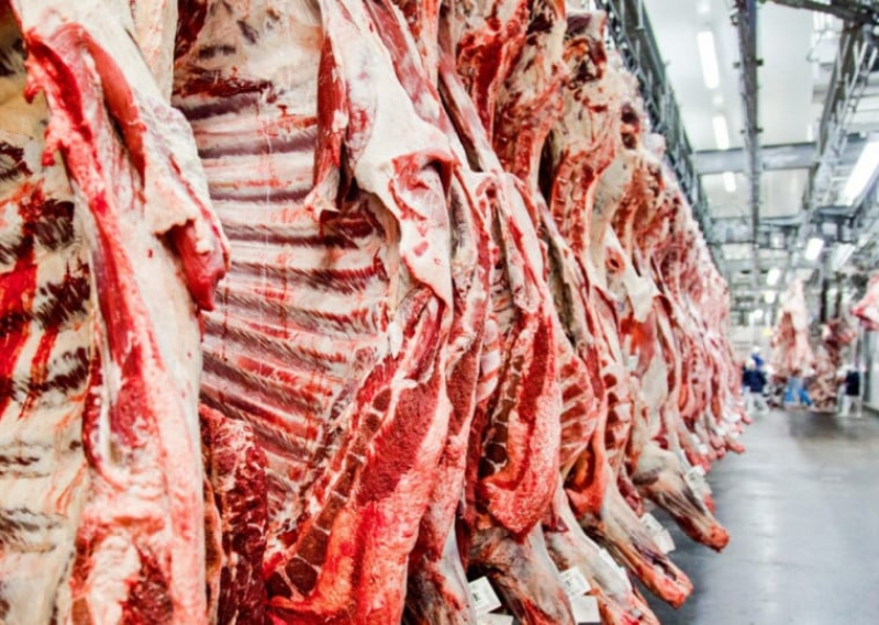 Brasil aguarda auditoria da União Europeia para tentar retomar exportações de carne bovina