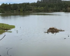Moradores do entorno de barragem em São Marcos devem se preparar para evacuação