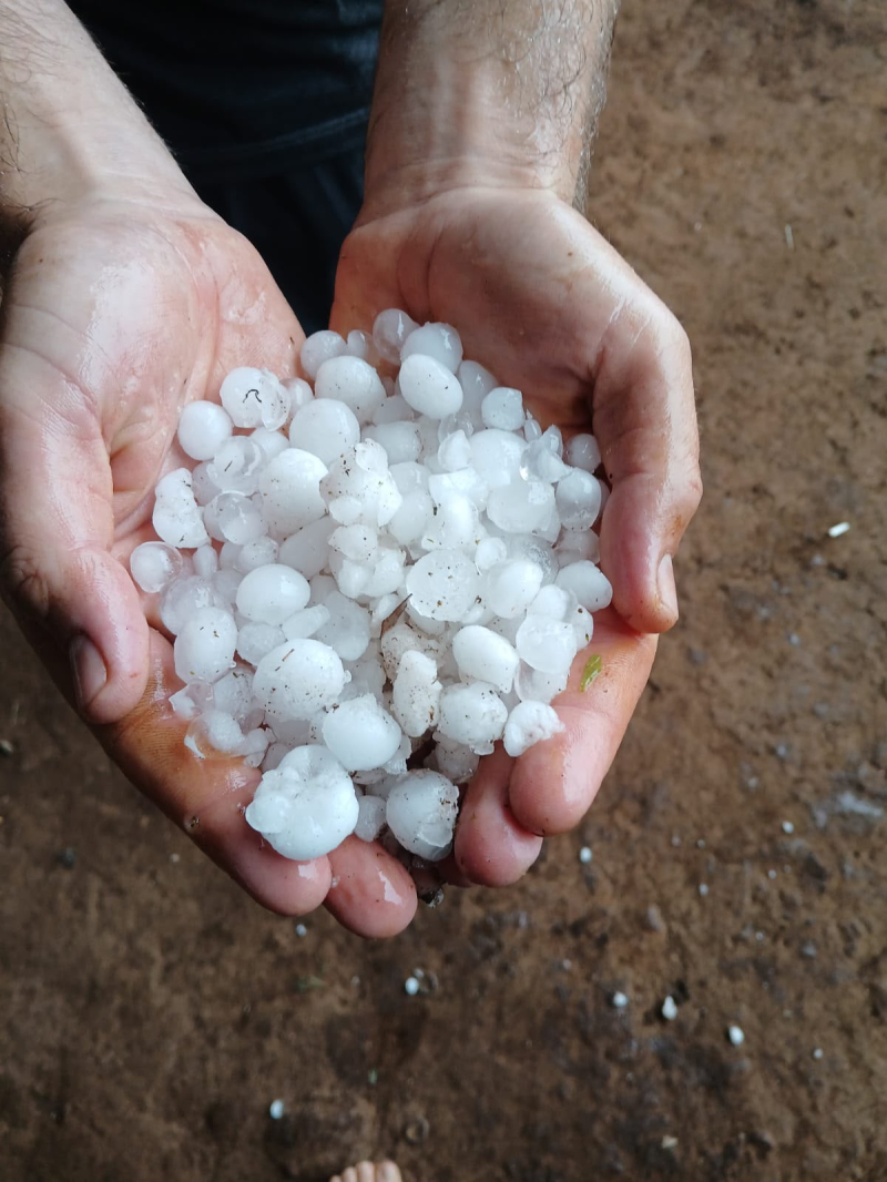 Temporal com granizo causa danos em lavouras no interior de Catuípe