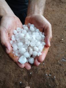 Temporal com granizo causa danos em lavouras no interior de Catuípe