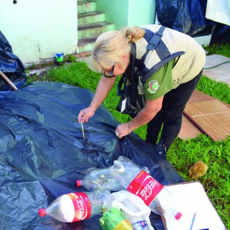 Santo Ângelo tem seis casos confirmados de dengue, diz Vigilância Ambiental 