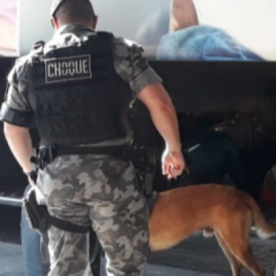 Cão da Brigada Militar encontra munições em mala de passageiro, em Santa Maria 