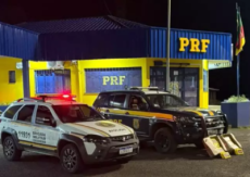 Polícia Rodoviária Federal apreende mais de 60 quilos de cocaína em Vacaria