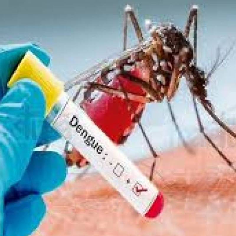 Município de Jóia tem quatro casos suspeitos de dengue