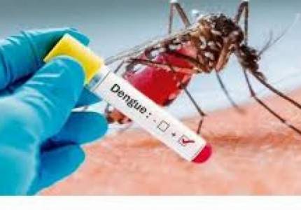 Região contabiliza 165 casos confirmados de dengue