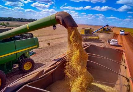 Safra pode superar 250 milhões de toneladas